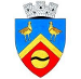 Primăria Amara